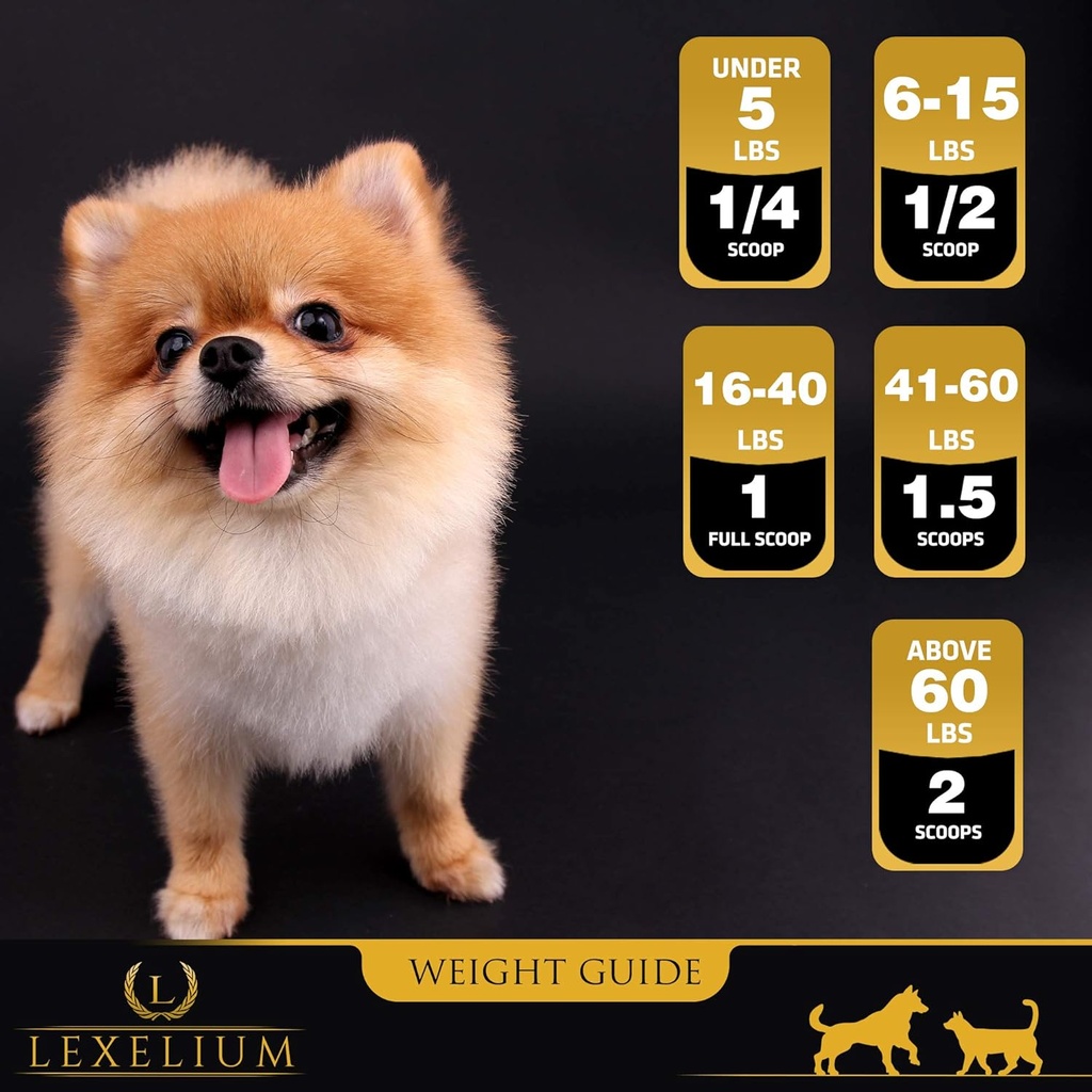 blood-sugar-management-for-diabetic-dogs-4.jpg