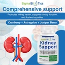 sigma-biotics-kidney-support-supplement--6.jpg