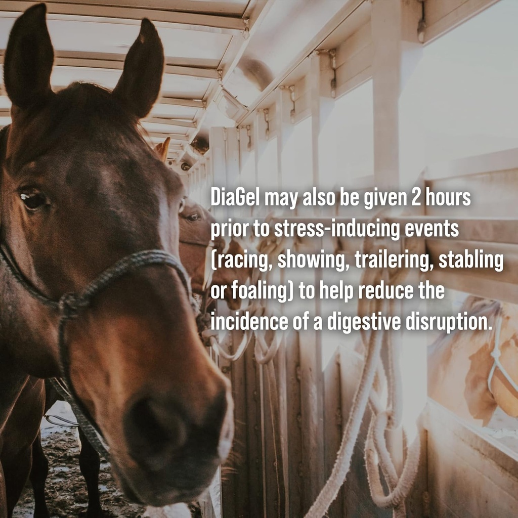 diagel-for-equine---orally-administered--3.jpg