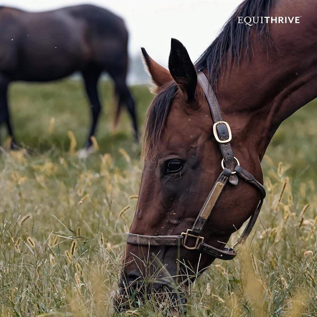 equithrive-vitamin-e-pellets-for-horses--6.jpg
