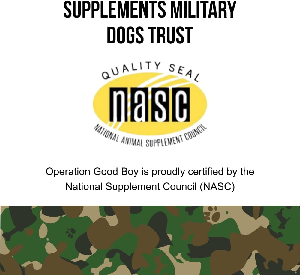 ogb-operation-good-boy---sre-skincoatall-5.jpg