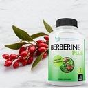 doctor-recommended-supplements-berberine-4.jpg