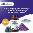 fineland-wild-blueberry-101-extract-6000-4.jpg