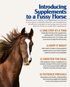 pennwoods-gi-renew-show-probiotics-for-e-4.jpg