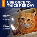 antibiotics-for-cats-in-drops-сat-respir-5.jpg