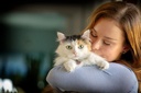 in-clover-spry-cat-eye-care-support-l-ly-5.jpg