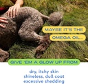 native-pet-omega-oil-for-dogs---dog-fish-2.jpg
