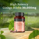 pureclinica-high-potency-ginkgo-biloba-3-4.jpg