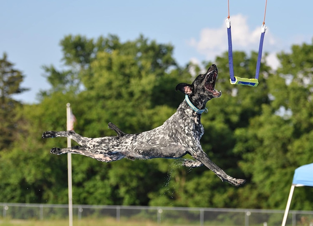 kinetic-performance-dog-food-probiotics--2.jpg