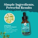 vegan-liquid-chlorophyll-drops---super-c-4.jpg