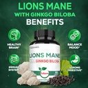 lions-mane-with-ginkgo-biloba-supplement-5.jpg