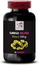 natural-antioxidant-extract---ginkgo-bil-2.jpg