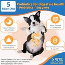 zebora-dog-multivitamin-powder-with-gluc-5.jpg