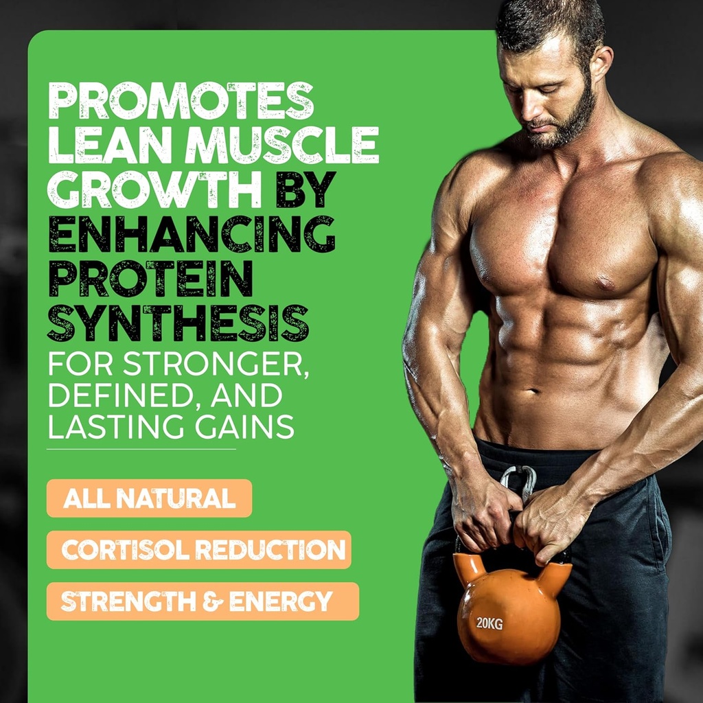 vital-alchemy-the-muscle-sculptor-muscle-5.jpg