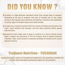 premium-fucoidan-extract-immunity-supple-4.jpg
