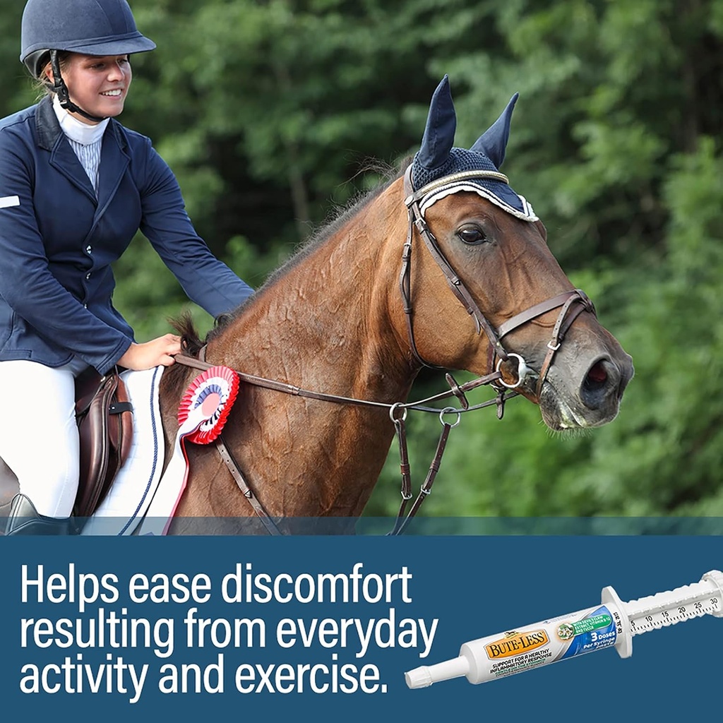 absorbine-bute-less-long-term-horse-comf-4.jpg