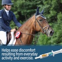 absorbine-bute-less-long-term-horse-comf-4.jpg