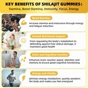 shilajit-gummies-for-men-women-pure-hima-2.jpg