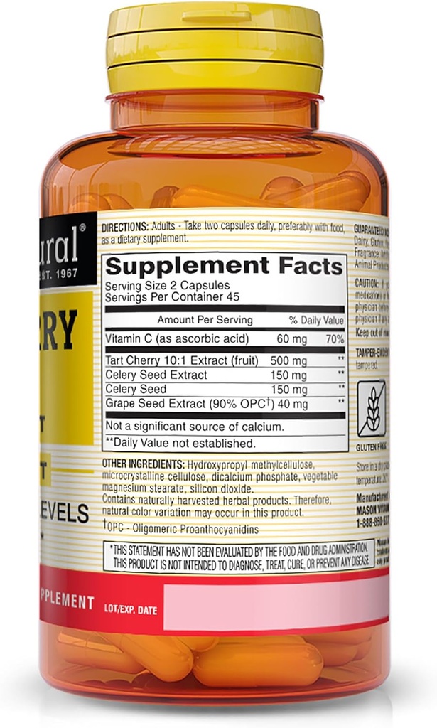 mason-natural-tart-cherry-500-mg-101-ext-2.jpg