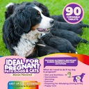 dog-prenatal-vitamins-multivitamin-folic-3.jpg