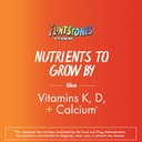 flintstones-childrens-complete-chewable--5.jpg