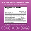 nutrachamps-echinacea-capsules-1000mg----2.jpg