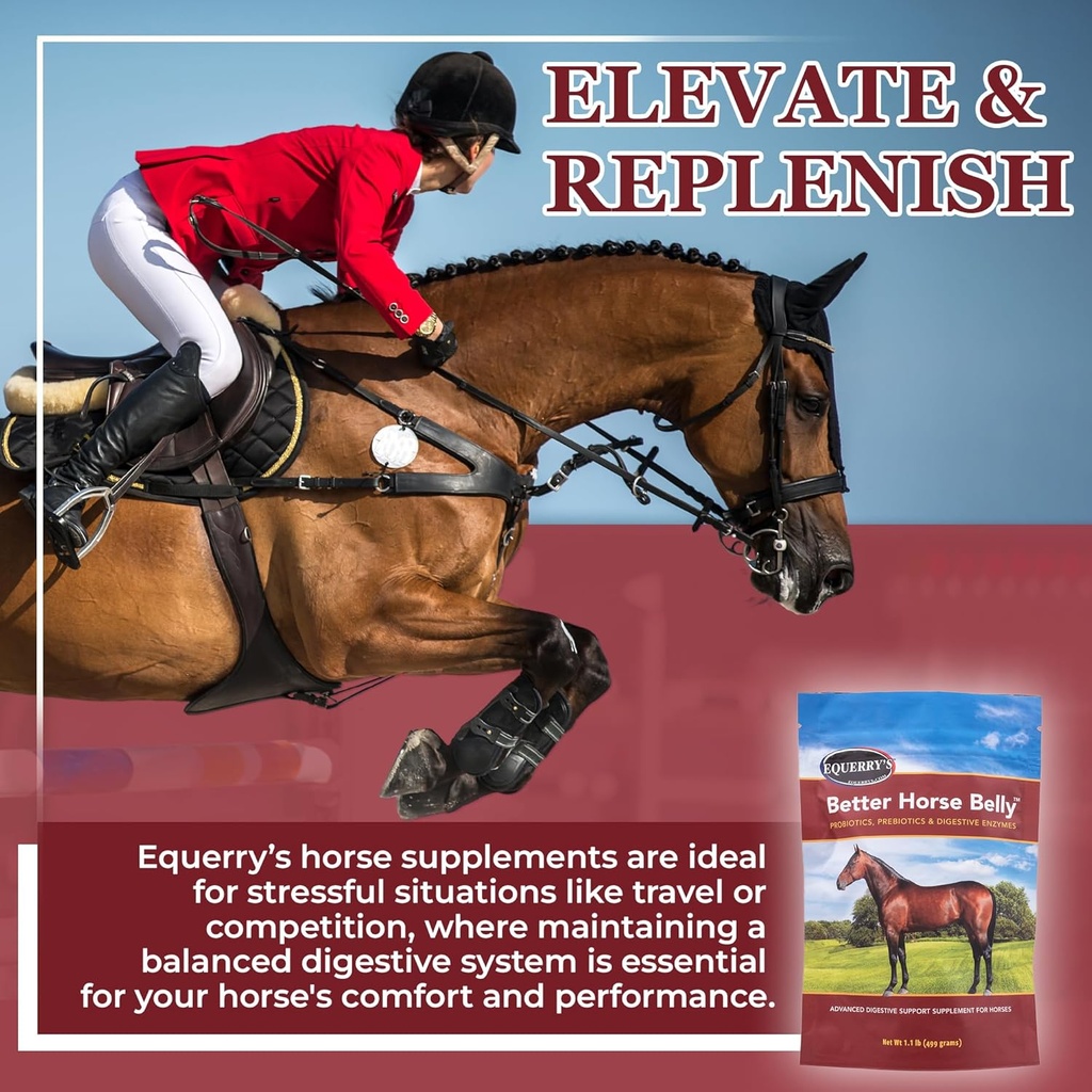 equerrys-better-horse-belly---supplement-6.jpg