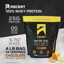ascent-whey-plant-protein-powder---choco-2.jpg