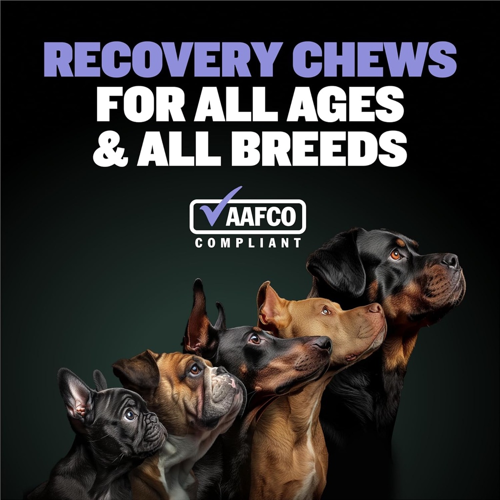 bully-max-2-in-1-post-workout-recovery-s-2.jpg
