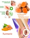 oxidative-stress-relief-formula-by-waybe-5.jpg