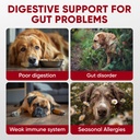 probiotics-soft-chews---enzymes---digest-2.jpg