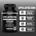 epicatechin-extract-500mg-per-serving-60-5.jpg