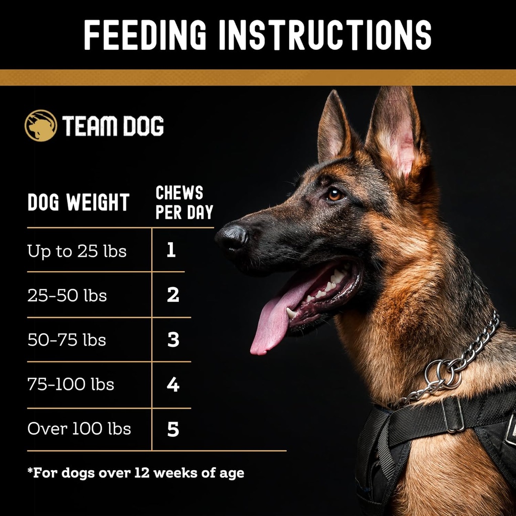team-dog-probiotic-chews-for-dogs-digest-5.jpg