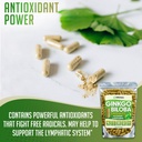 xprs-nutra-ginkgo-biloba-capsules---ging-3.jpg