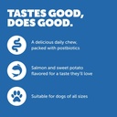 protexin-daily-care-gut-skin-coat-60-dog-6.jpg