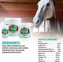 adeptus-nutrition-invigor-eq-joint-suppl-3.jpg