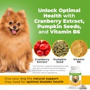 only-natural-pet-canine-bladder-control--2.jpg