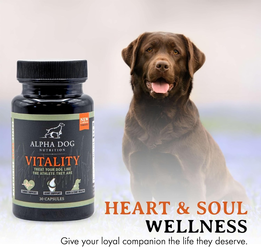 krill-oil-for-dogs---vitality-by-alpha-d-5.jpg