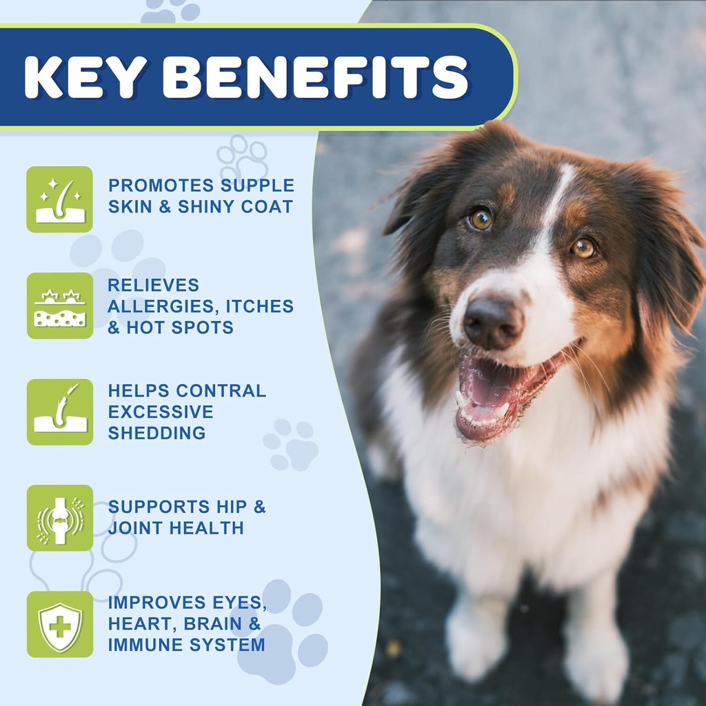 nature-target-probiotics-for-dogs---omeg-6.jpg