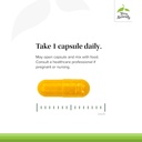 terry-naturally-curamed-500mg---antioxid-4.jpg