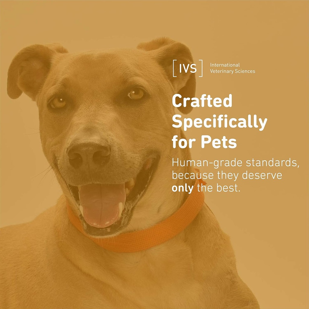 new-international-veterinary-sciences-iv-5.jpg