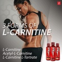 isatori-l-carnitine-ls3-1500-triple-blen-2.jpg