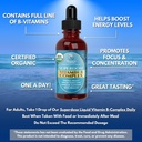 superdose-organic-vitamin-b-complex-liqu-4.jpg
