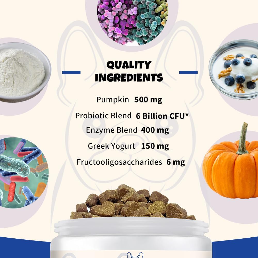 probiotics-for-dogs---improve-itchy-skin-2.jpg