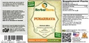 punarnava-boerhavia-diffusa-dried-root-l-2.jpg