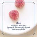 trace-minerals-zinc-gummies---chewable-z-2.jpg