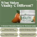 american-nutriceuticals---vitamin-c-powd-2.jpg