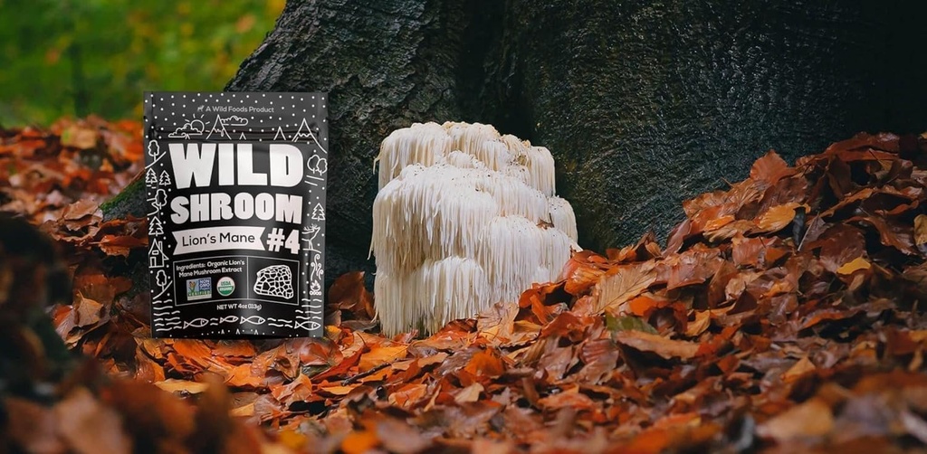 wild-foods-lions-mane-powder-mushrooms-e-5.jpg