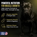 approx-45-servings-of-dog-weight-gainer--4.jpg