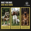 approx-45-servings-of-dog-weight-gainer--5.jpg